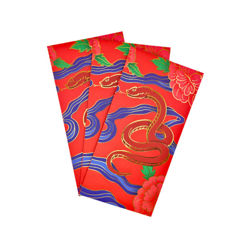 Lunar New Year Lucky Red Envelope Skinny Vinny X Wonkycube