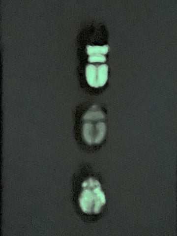 Beetle Pin Set (Glow in the Dark)