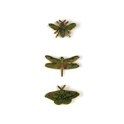 Winged Insect Pin Set
